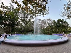 -九龙公园