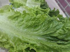 -平山城鑫烧烤(建国楼店)