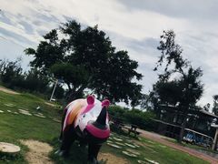 -漳州滨海火山岛自然生态风景区