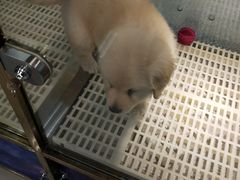 -乐宠宠物店(世纪金源店)