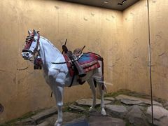 -四川大学博物馆