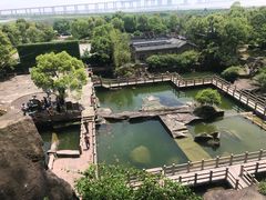 -蛇蟠岛
