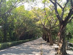 -大湾区中央湿地公园