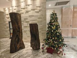 -丽妍雅集 Rubis SPA