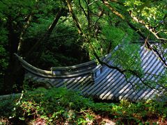 -宁波市保国寺古建筑博物馆