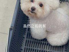 -BABIT巴比特宠物(MOMOPARK店)