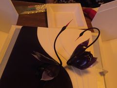 -BLACKSWAN黑天鹅(环球店)