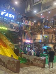 -卡通尼·Safari非洲探索乐园·生日会(金桥国际商业广场店)
