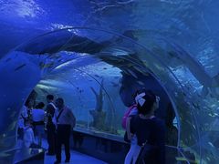 -多彩贵州城极地海洋世界