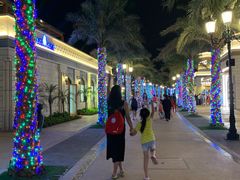 -三亚海昌梦幻海洋不夜城