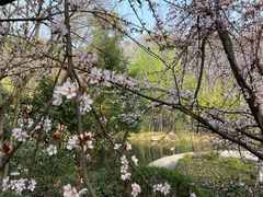 -古隆中景区