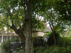 景观位-和茶馆(西溪栖悦城店)