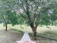 -南京枫彩漫城