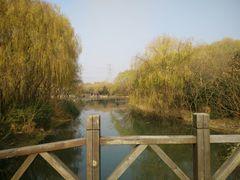 -昆山城市生态森林公园