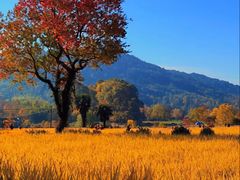-塔川景区
