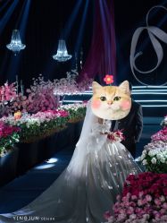 -南昌喜来登酒店·宴会厅