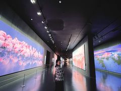 -罗红摄影艺术馆