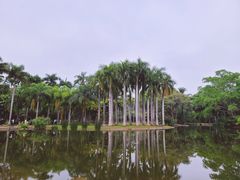 -中国科学院西双版纳热带植物园