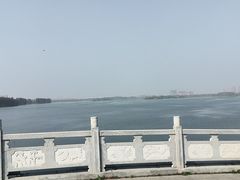 -金银湖国家城市湿地公园