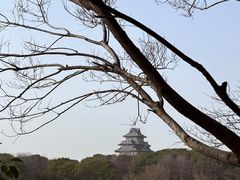 -金鸡湖桃花岛