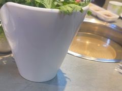 -萧邦音乐会所KTV(向西店)