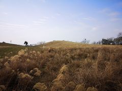 -白鹭湾湿地公园