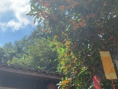 -杨家堂村