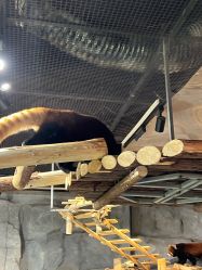 -Zoolung Zoolung动物主题公园(海信广场店)