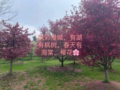 -南京枫彩漫城