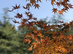 -上海山野camping·户外天幕烧烤·团建拓展营地