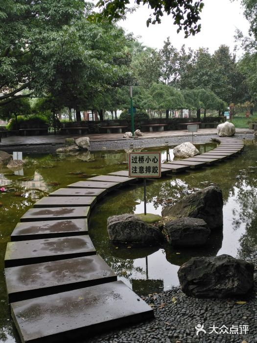 神仙樹公園-圖片-成都景點/周邊遊-大眾點評網