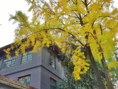 -四川大学(华西校区)