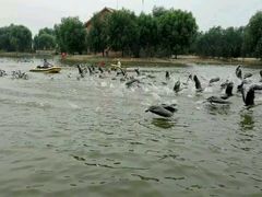 -泰安地下龙宫景区