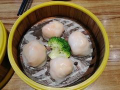 -粤港餐厅(禹州商业广场店)