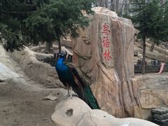 -哈尔滨北方森林动物园