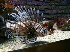 -北戴河圣蓝海洋公园