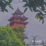 等个好天气，太不容易了❗成都的天，就像姑娘的情绪一样