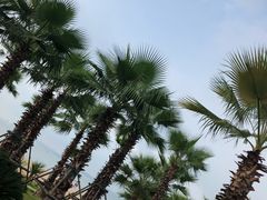 -厦门万豪酒店及会议中心大堂吧·海景下午茶