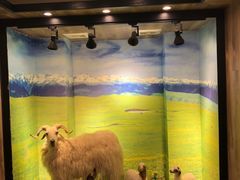 -清真·益鑫羊肉手抓馆(花园北街店)