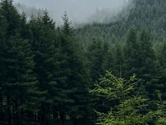 -驼梁风景区