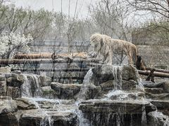 -北京野生动物园
