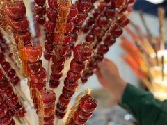 -和禄德冰糖葫芦