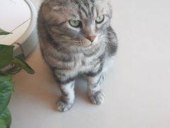 -平行世界·猫咖(首经贸店)