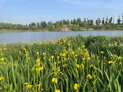 -TIPPI营地 房车主题·露营烧烤团建轰趴(天安假日店)