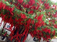 -济南方特东方神画