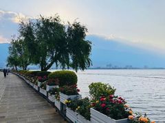 -大理洱海