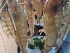 -马家斑.鲜鱼火锅(松湖万科店)