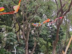 -人民公园(罗湖区)