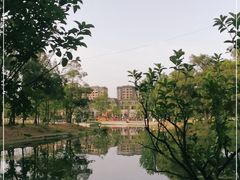 -两河城市森林公园
