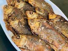 -独流饭店(静海区国土资源分局西)